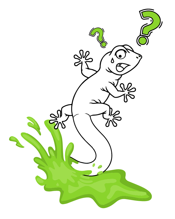 Lizard without skin color Lizard without skin color